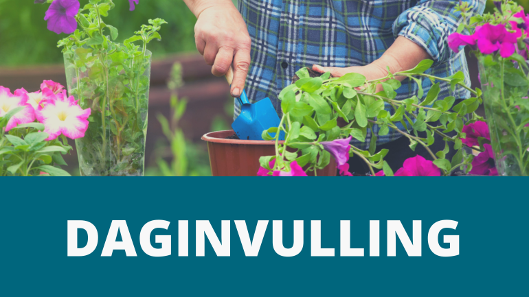 daginvulling